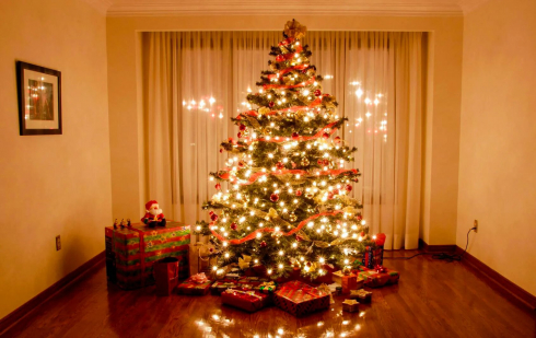 Почему на Новый год ставят елку?